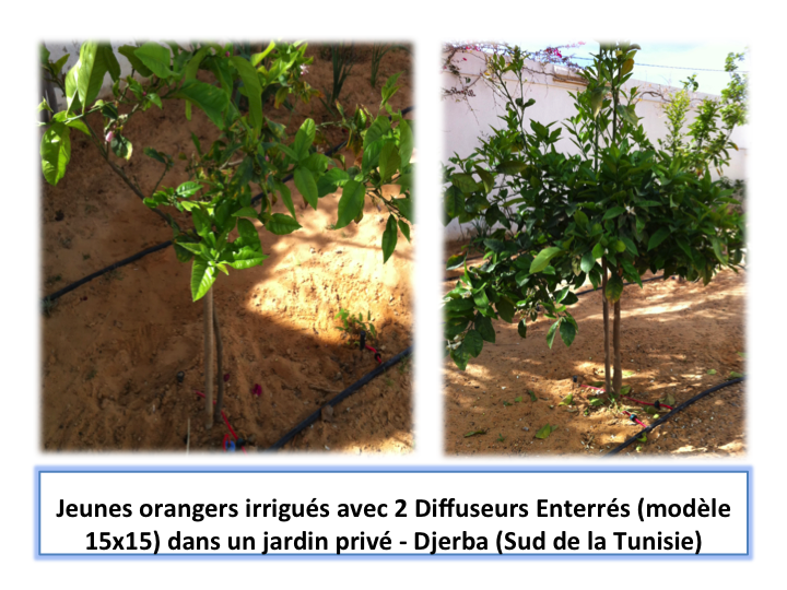 Diffuseur enterré pour arbres