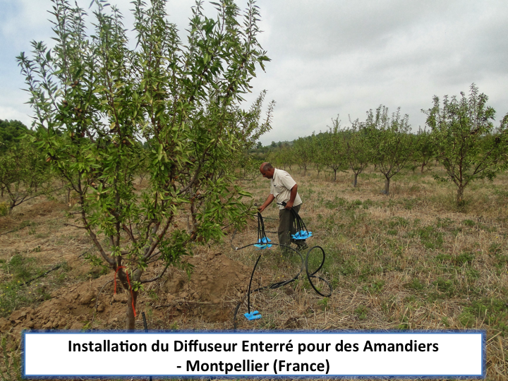 Diffuseur enterré pour arbres