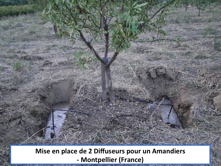Diffuseur enterré pour arbres