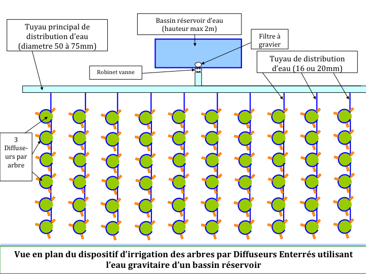 Diffuseur enterré pour arbres