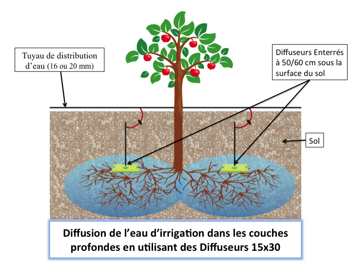 Diffuseur enterré pour arbres