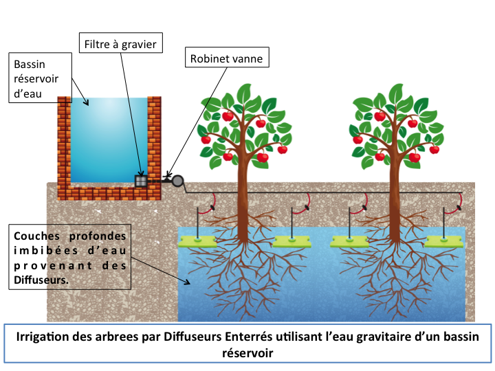 Diffuseur enterré pour arbres