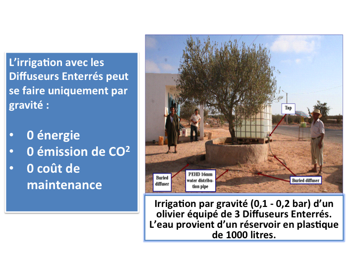 Diffuseur enterré pour arbres