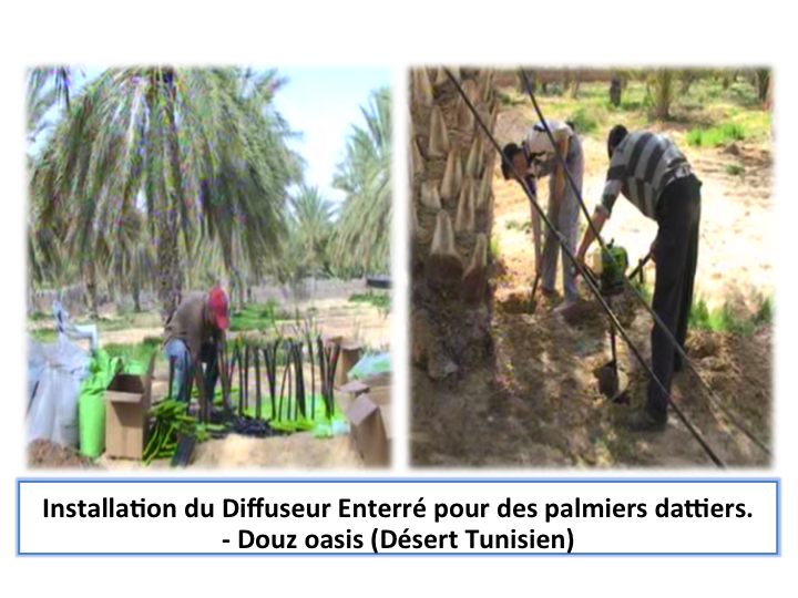 Diffuseur enterré pour arbres
