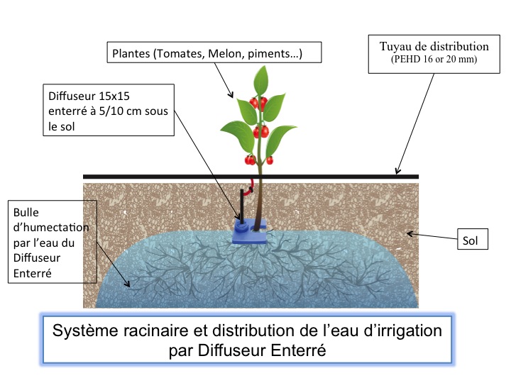 Diffuseur enterré pour cultures marachaires