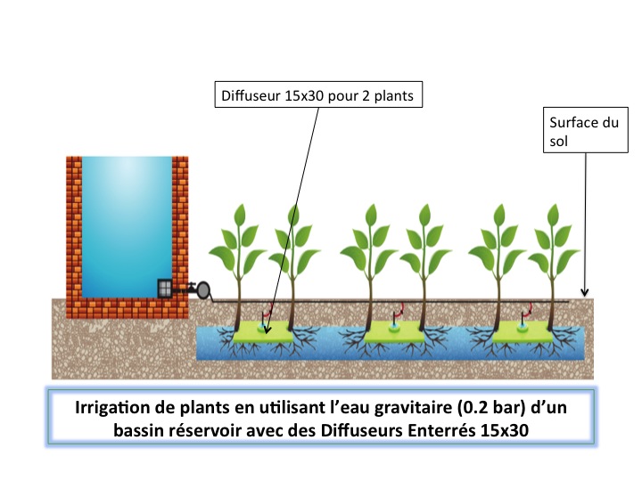 Diffuseur enterré pour cultures marachaires