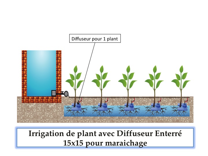 Diffuseur enterré pour cultures marachaires