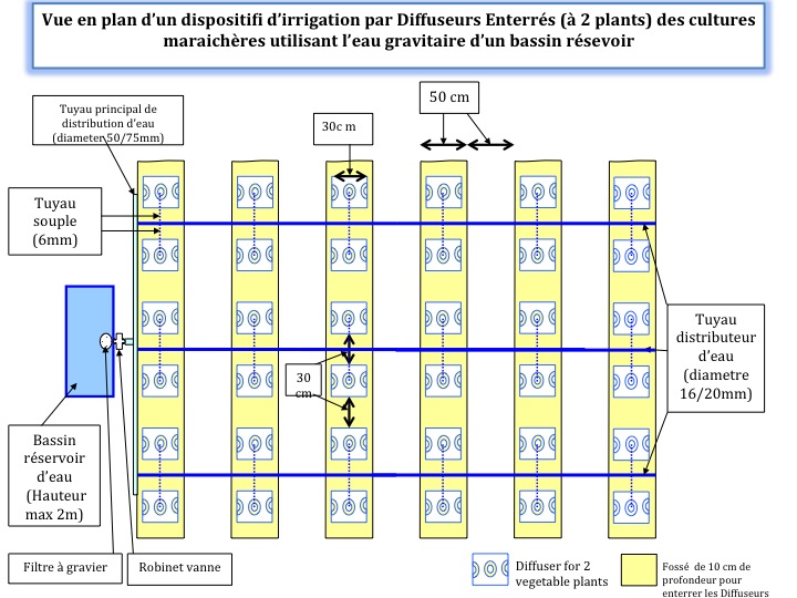 Diffuseur enterré pour cultures marachaires