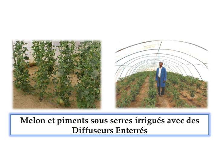 Diffuseur enterré pour cultures marachaires