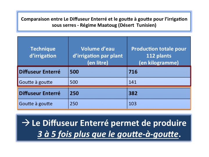 Diffuseur enterré pour cultures marachaires