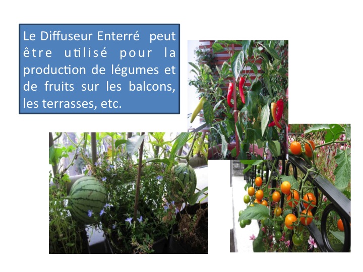 Diffuseurs pour plantes dans des pots