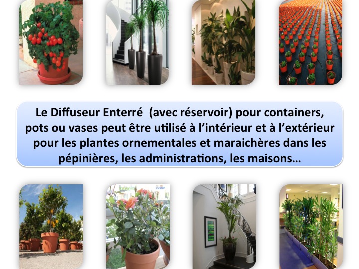 Diffuseurs pour plantes dans des pots