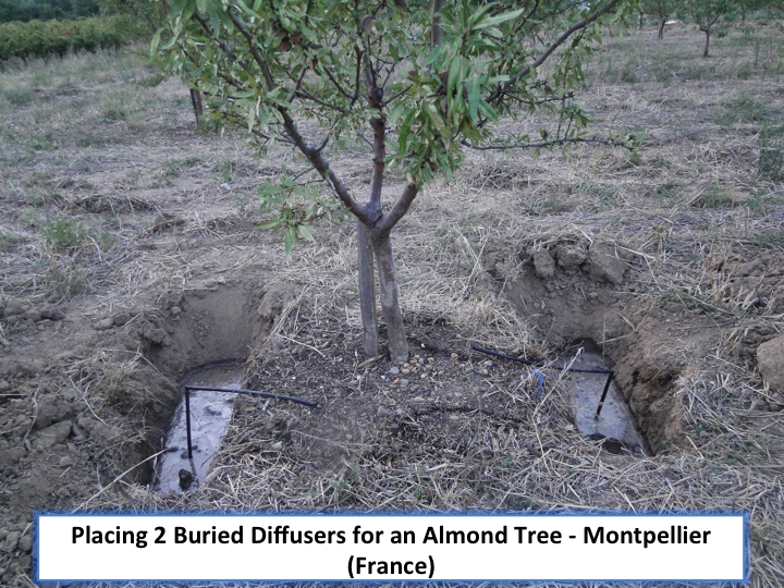 Installing the Buried Diffuser for Almonds Tree in France